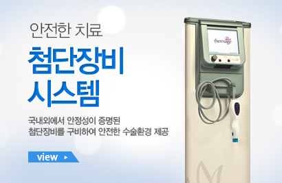 ÷����� �ý���